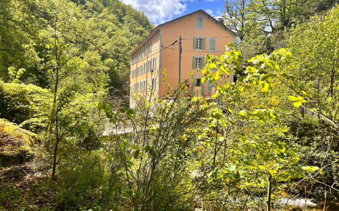 Un Week-End Au Vert 16-18 Mai 2025 : Rire, Détente et Partage à Notre Dame d’Escouloubre